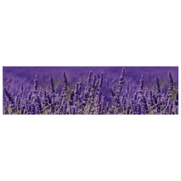Küchenrückwand »Lavendel«, Aluverbund, Lavendel-Design