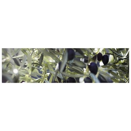 Küchenrückwand »Olivenbaum«, Aluverbund, Olivenzweig