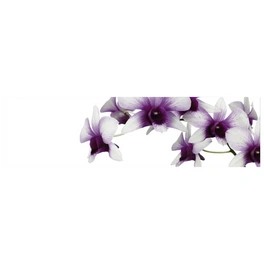Küchenrückwand »Orchidee lila«, Aluverbund, Orchidee