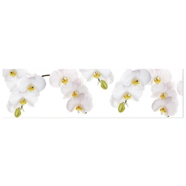 Küchenrückwand »Orchidee weiß«, Aluverbund, Orchidee