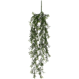 Kunstpflanze, Buchsbaum, Höhe: 74 cm