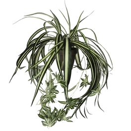 Kunstpflanze, Chlorophytum, Höhe: 45 cm