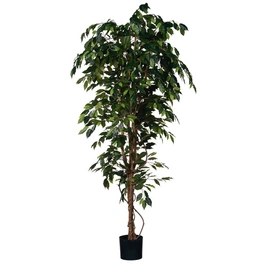 Kunstpflanze, Ficus Benjamina, grün