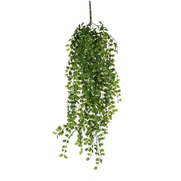 Kunstpflanze, Ficus, Höhe: 81 cm