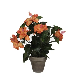 Kunstpflanze, Hibiscus, Höhe: 40 cm