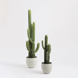 Kunstpflanze, Kaktus, Höhe: 83 cm