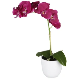 Kunstpflanze, Phalaenopsis Orchidee, violett