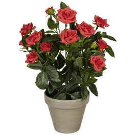 Kunstpflanze, Rosenstrauch, rot