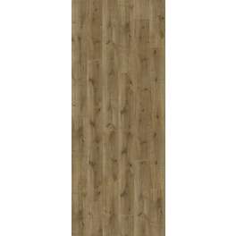 Laminat Handmuster »Trendtime 6«, BxL: 243 x 200 mm, braun