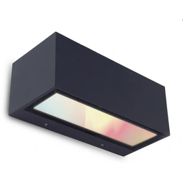 LED-Außenwandleuchte »gemini«, anthrazit, inkl. Leuchtmittel, Breite: 22 cm