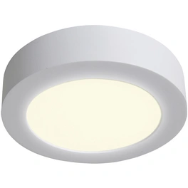 LED-Deckenleuchte »Simplex«, inkl. Leuchtmittel in neutralweiß