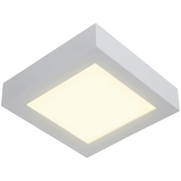 LED-Deckenleuchte »Simplex«, inkl. Leuchtmittel in warmweiß