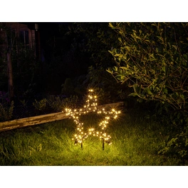 LED-Gartenstecker »Garden d'light«, sternförmig, Höhe: 73 cm, netz