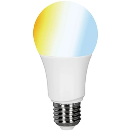 LED-Leuchtmittel, E27, warmweiß/neutralweiß