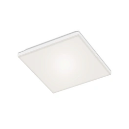 LED Panel »FRAMELESS«, Breite: 29,5 cm, 12 W, 230 V