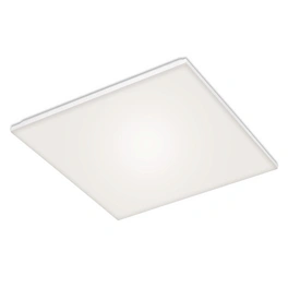 LED-Panel »FRAMELESS«, Breite: 59,5 cm, 38 W, 230 V