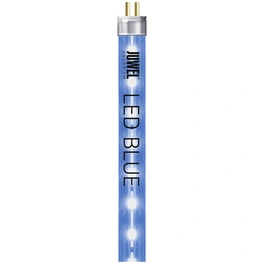 Leuchtmittel »LED BLUE«, BxH: 6,4 x 2,3 cm, 12 W, blau