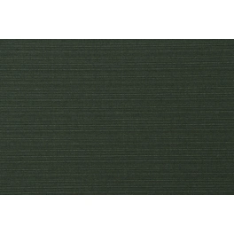 Liegenauflage »Centauri«, grün, Uni, BxL: 58 x 200 cm