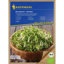 Microgreens, Brassica oleracea var. italica, Bio-Qualität, Saatgut