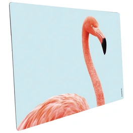 Mini-Spritzschutz »Flamingo aque«, Aluverbund, Flamingo