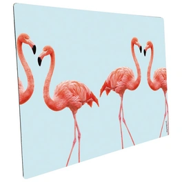 Mini-Spritzschutz »Lovely Flamingo Aqua«, Aluverbund, Flamingo