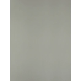 Möbelbauplatte, BxHxL: 300 x 19 x 2600 mm, silberfarben