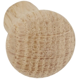 Möbelknopf, Ø 21 x 25 mm, natur, Eichenholz