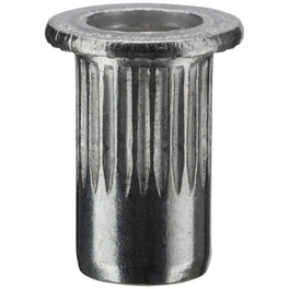 Nietmutter, A6, Aluminium, Ø 6 x 10,5 mm, 10 St.