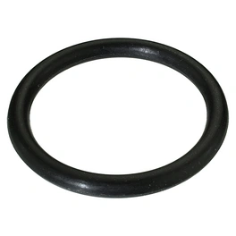 O-Ring, Kunststoff, 3/4 Zoll, 5 Stk.