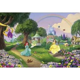 Papiertapete »Disney Princess Rainbow«, Breite 368 cm