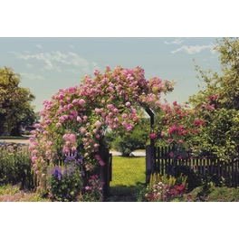 Papiertapete »Rose Garden«, Breite: 368 cm, inkl. Kleister