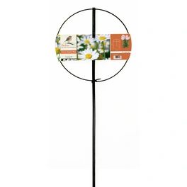 Pflanzenstütze, ØxH: 35 x 100 cm, Stahl