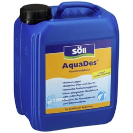 Poolpflegemittel »AquaDes«, 5 Liter, Kurzzeitwirkung, für Schwimmbeckenreinigung