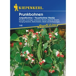Prunkbohnen »Hestia«, ca. 40 Pflanzen