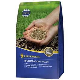Rasen »Kiepenkerl Regenerations-Rasen«, 0,5 kg