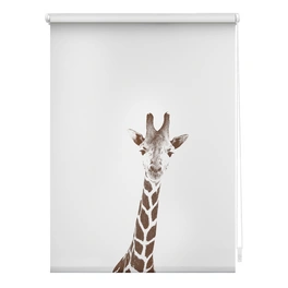 Rollo, ‎‎Klemmfix, 100x150 cm‎, Giraffe