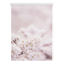 Rollo, ‎‎Klemmfix, 100x150 cm‎‎, Kirschblüten, rosa weiß