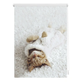 Rollo, ‎‎Klemmfix, 100x150 cm‎‎, Sleepy Cat, weiß