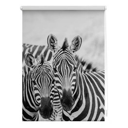 Rollo, ‎‎Klemmfix, 100x150 cm‎‎, Zebra, schwarz weiß
