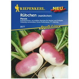 Rübchen Brassica rapa »Plessis«