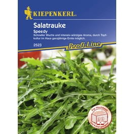 Salatrauke, Eruca sativa, Inhalt reicht für ca. 100 Pflanzen