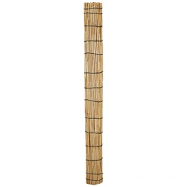 Sichtschutzmatte, Schilfrohr/Bambus, LxH: 180 x 180 cm