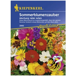 Sommerblumenzauber Mix, Mischung, Samen, Blüte: mehrfarbig