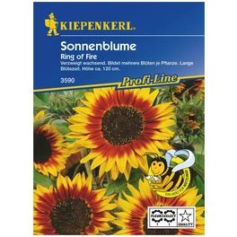 Sonnenblume, Helianthus annuus »Ring of Fire«, Samen, Blüte: mehrfarbig