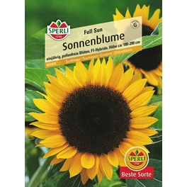 Sonnenblumen »Full Sun«, einjährig, robust, pollenarme Blüten, Höhe 180-200 cm