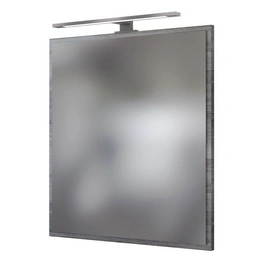 Spiegelpaneel mit LED Leuchte »Arezzo«, BxHxT: 60 x 64 x 2 cm