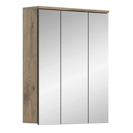 Spiegelschrank, grau, Holzwerkstoff, BxHxT: 60 x 77 x 18 cm