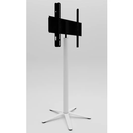 Standfuß »Xila«, BxH: 61 x 100 cm, Stahl