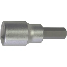 Steckschlüssel-Schraubeinsatz, Schlüsselgröße: 10 mm
