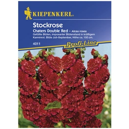 Stockrose, Alcea rosea, Samen, Blüte: rot
